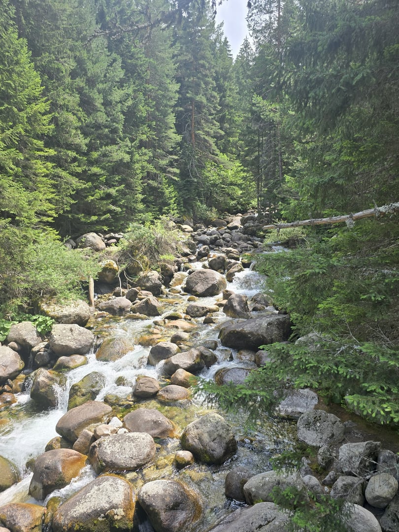 Beautiful river view in the Struma Valley region