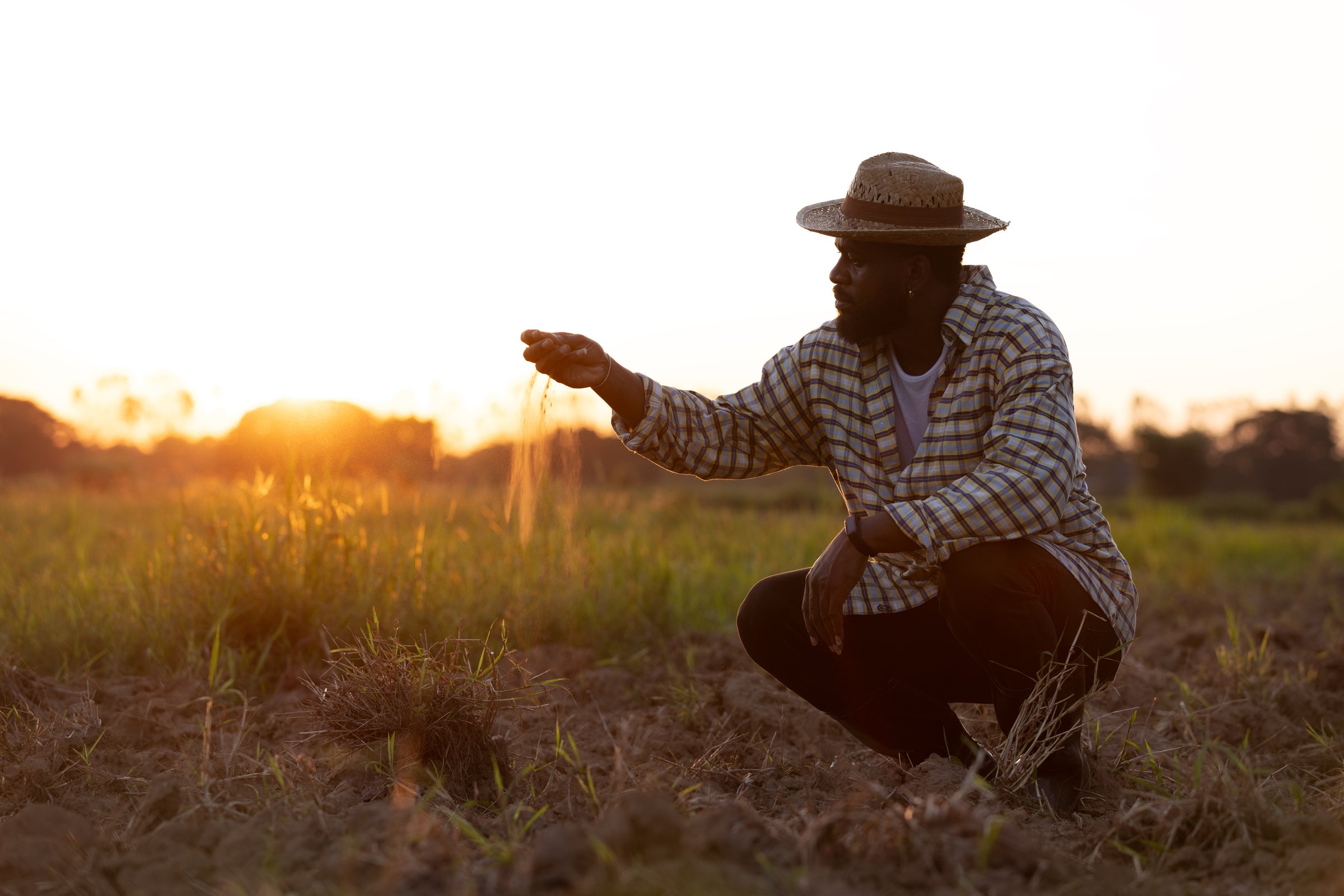 Farmer Examining Soil Quality During Golden Hour in Field, Assessing Fertility and Preparing for Cultivation, Agricultural Sustainability in Rural Setting at Sunrise or Sunset