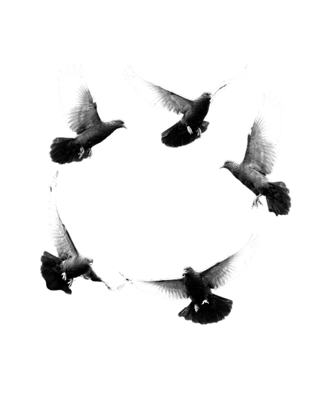 Open Sky Digital Logo