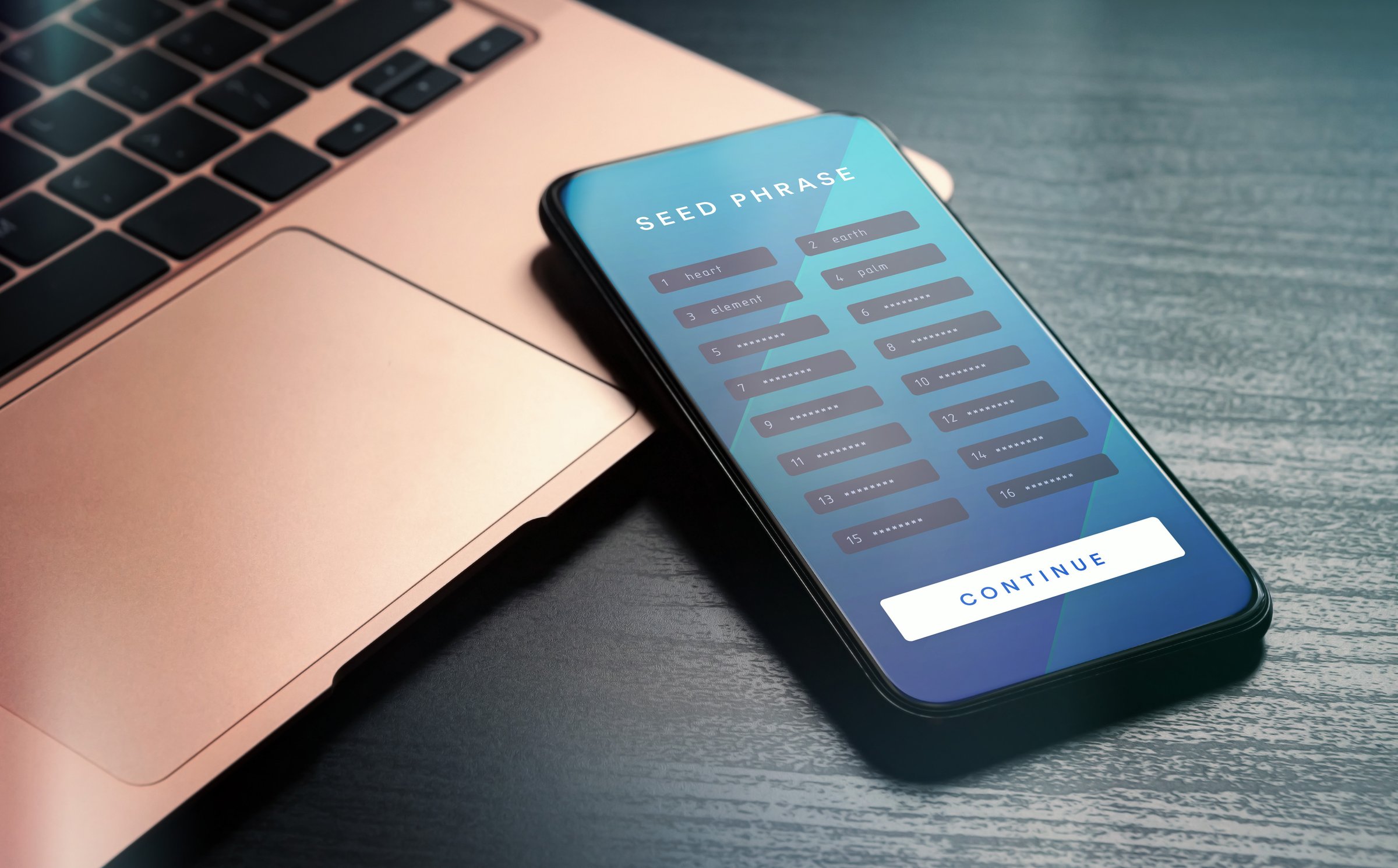 Recovery seed phrase