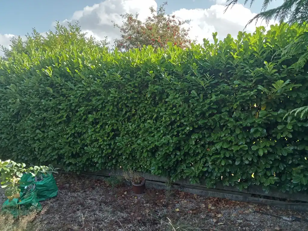 Before maintenance - Project 4