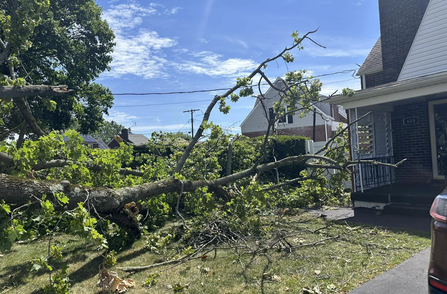 Emergency tree service