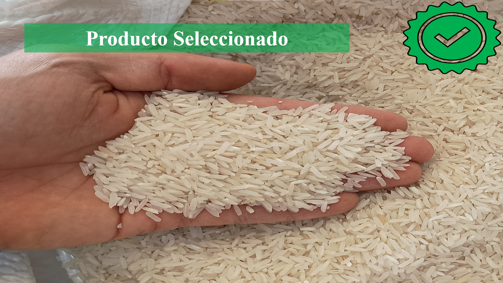 Producto Seleccionado - Granos después del proceso de selección de calidad