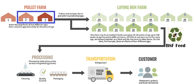 EggCellent Farms Integrated Locations