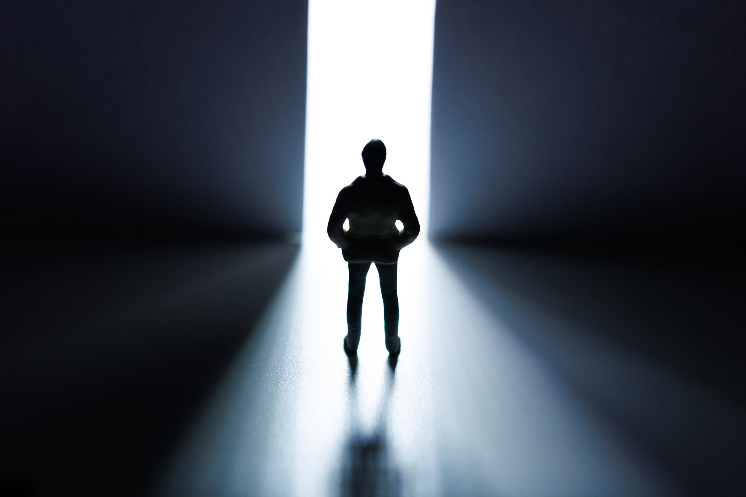 private.vaulted - Exclusive Privacy Domain - Premium Web3 domain for private access platforms