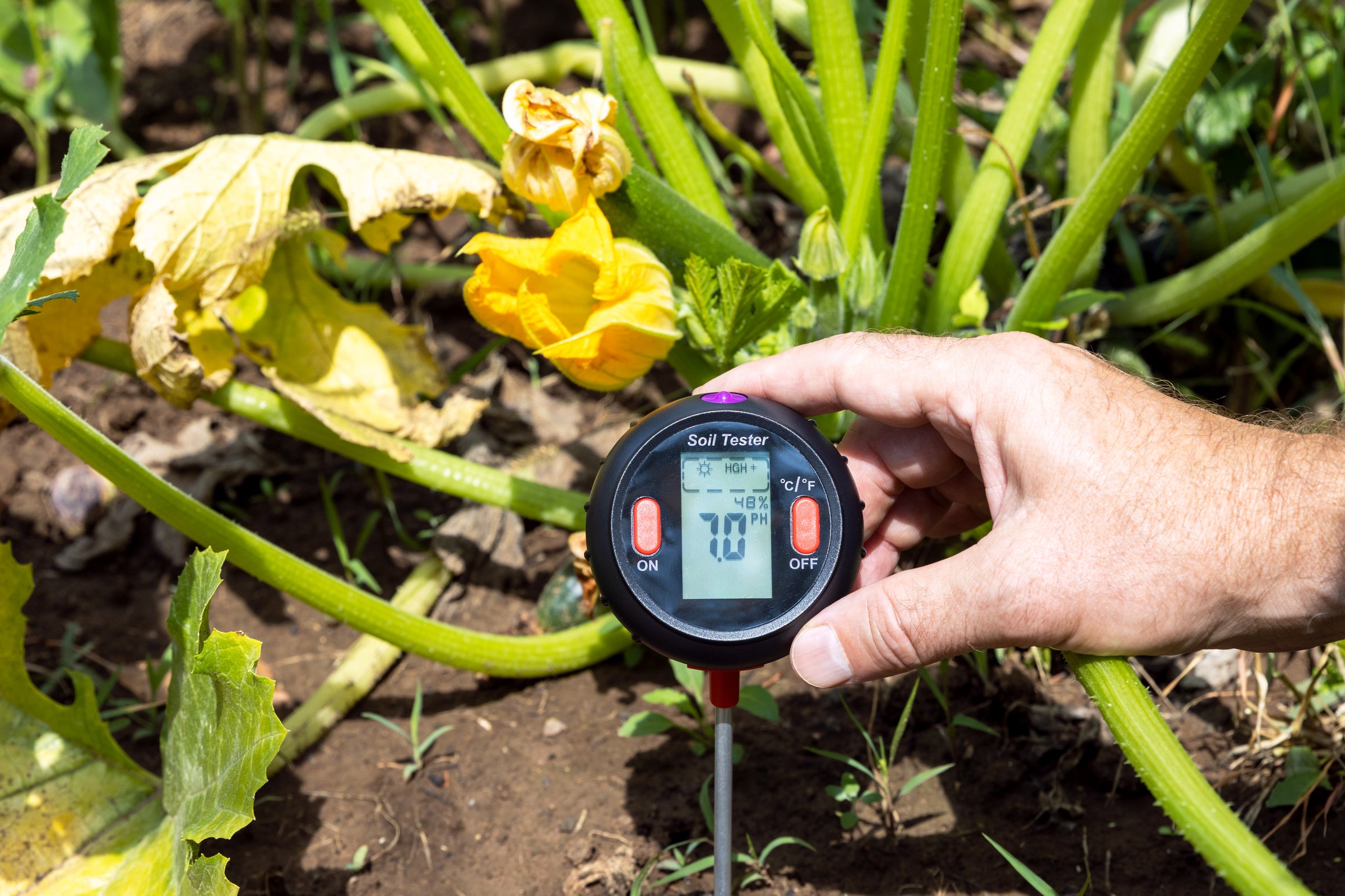 Advanced soil monitoring sensors measuring moisture, temperature, and nutrient levels in agricultural field