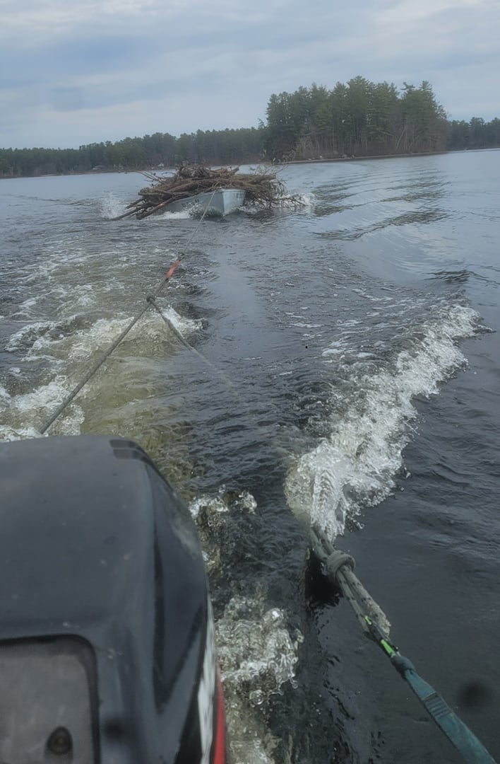 Tree service work on remote island location