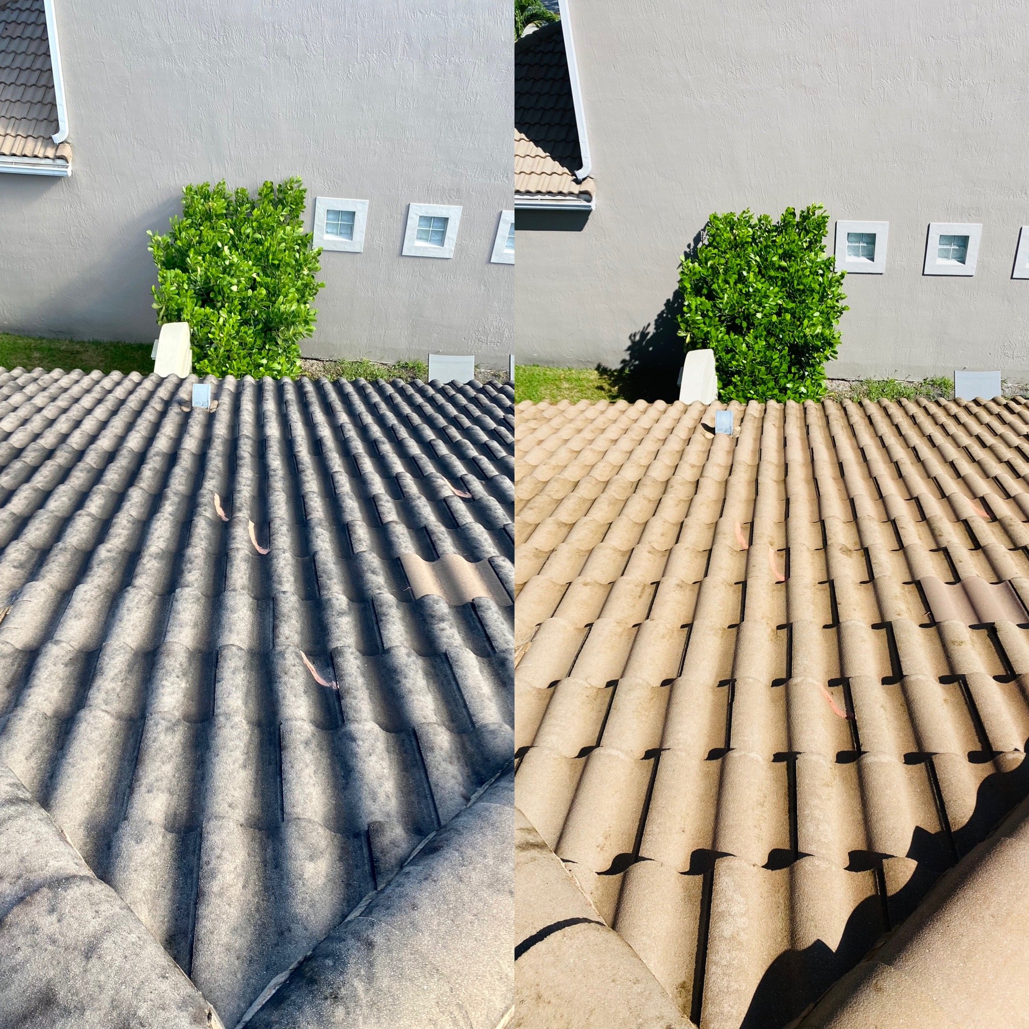 After - clean roof