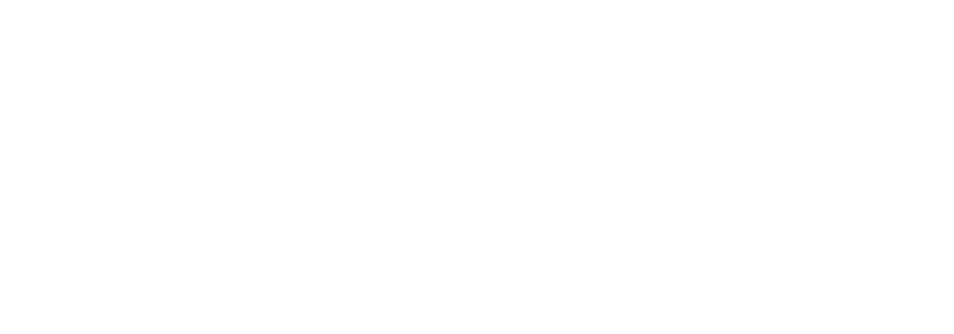 BRNDR Agency Logo