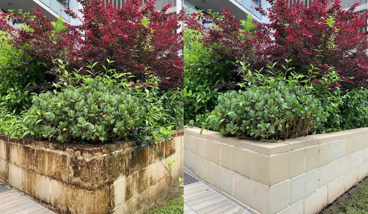 Before and After pressure washing