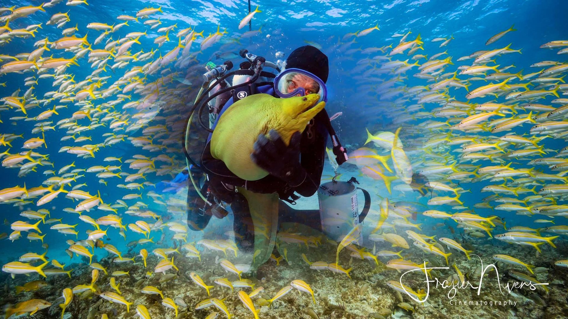 Creature Feature with Captain Slate feeding marine life underwater