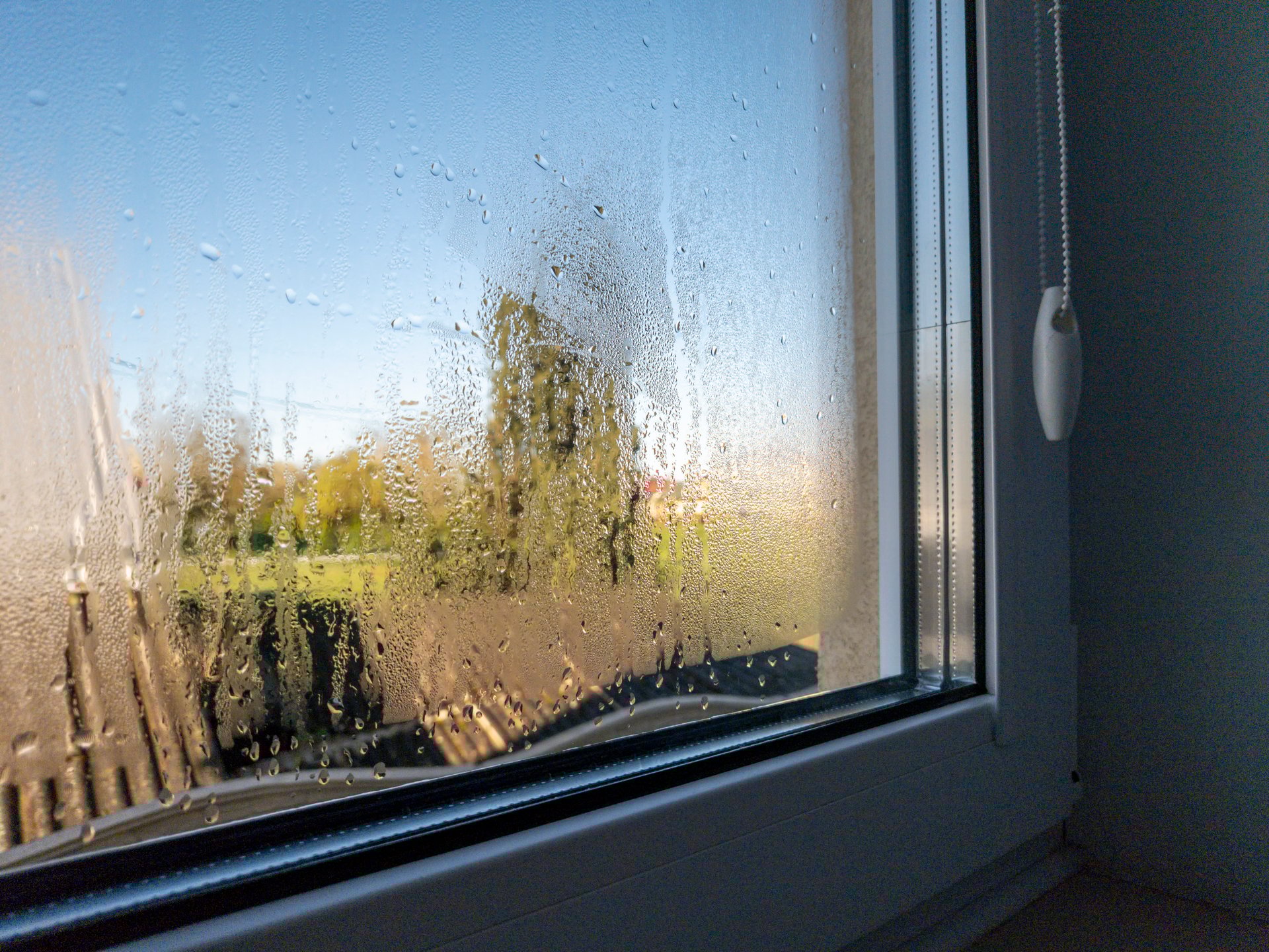 Condensation on a windowpane with a blurred view of a sunny outdoor scene featuring green trees, creating a peaceful atmosphere of morning light.