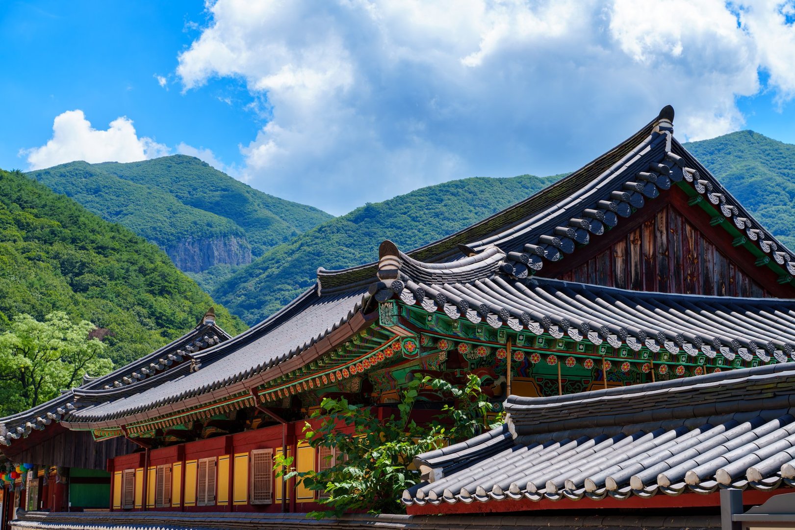 An early summer scene showing the tiled roof of Pyochungsa Temple, an old cultural heritage site in Miryang, Korea.