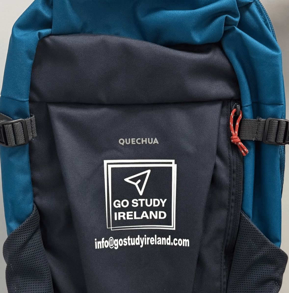 GoStudyIreland student experience