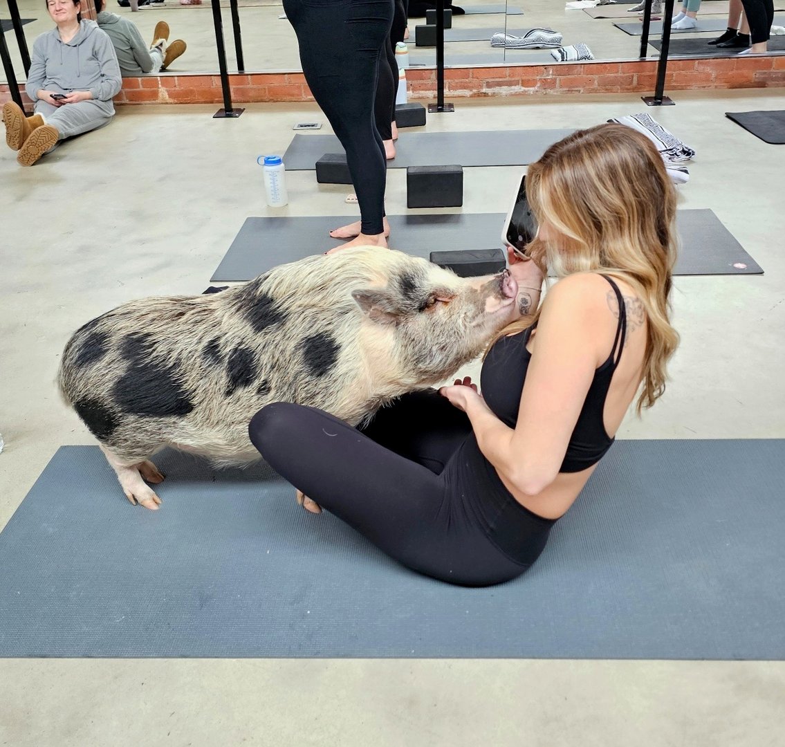 Large group doing yoga warrior pose
