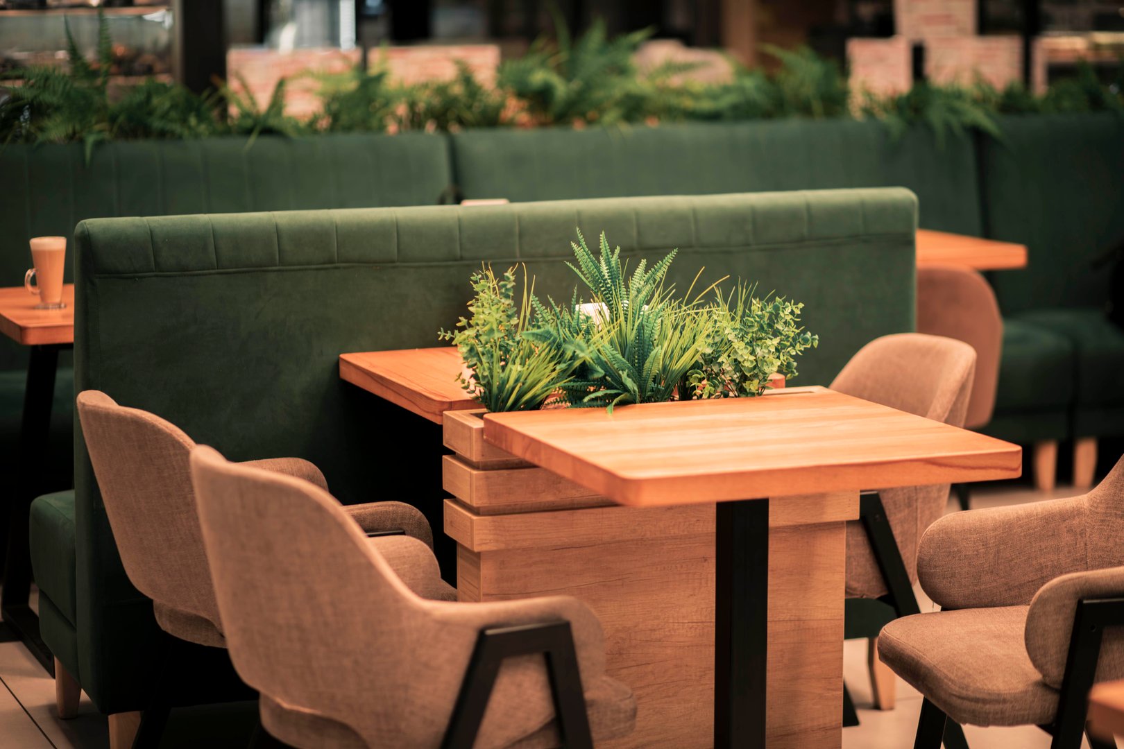 Stylishly decorated cafe with plants on tables, creating a refreshing ambiance for diners.