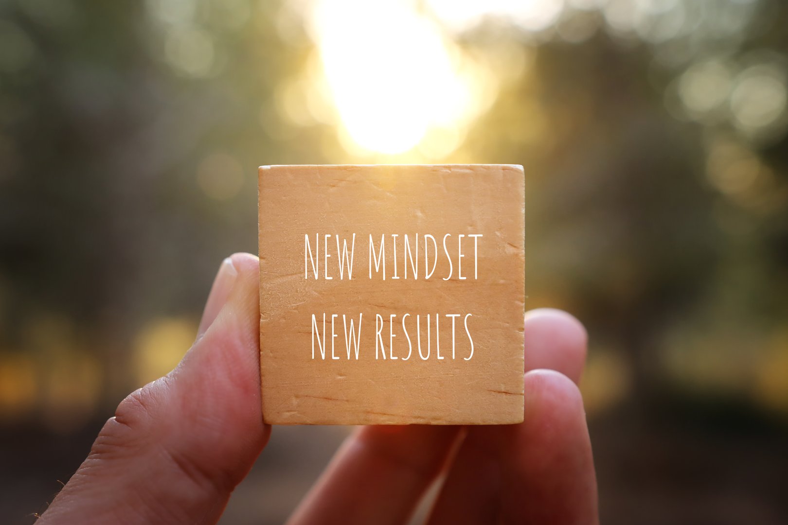 image of wooden cube with the text new mindset and results. success and personal development concept