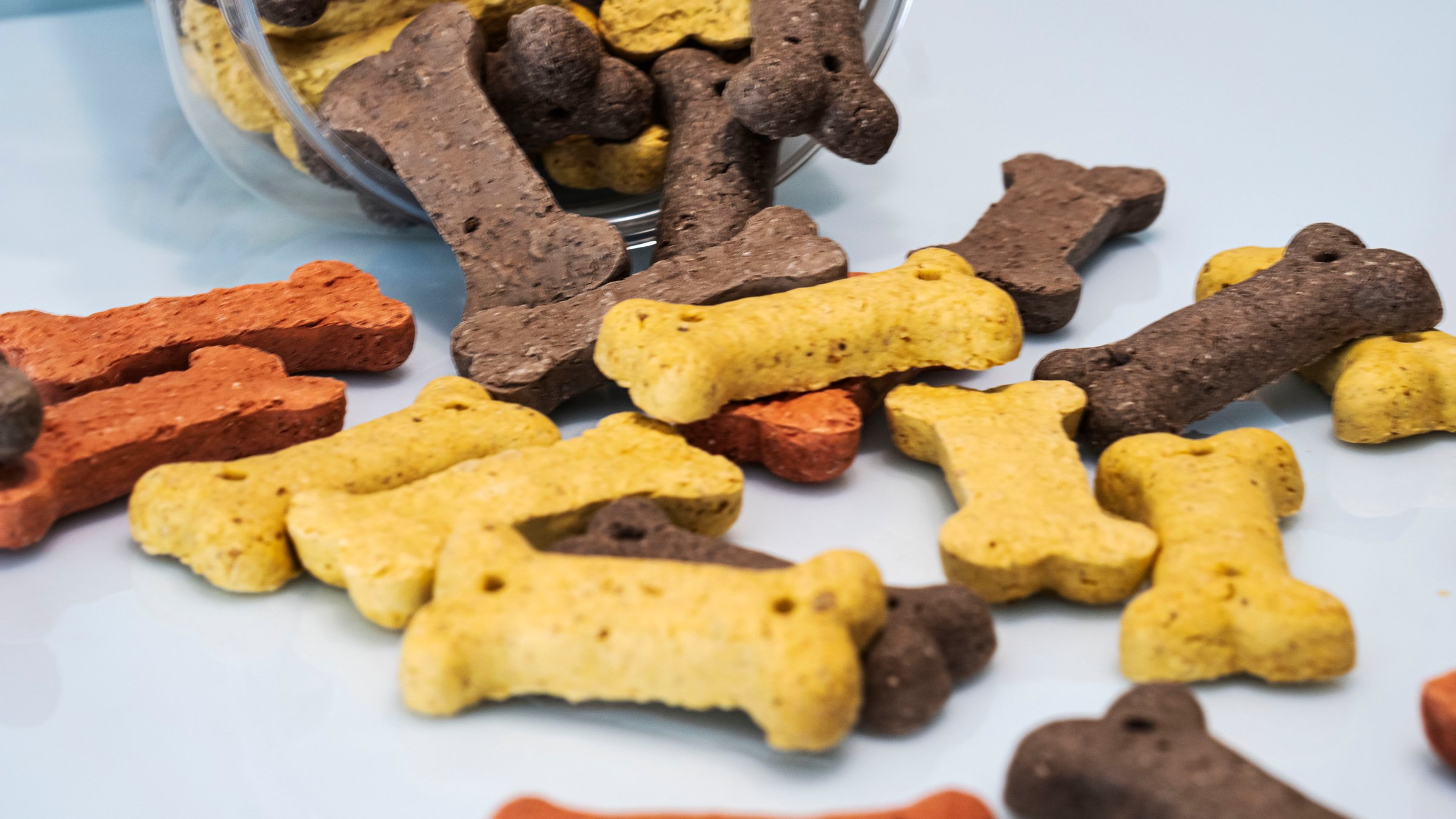 dog food cookies