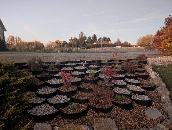 Green Haven Landscaping project after