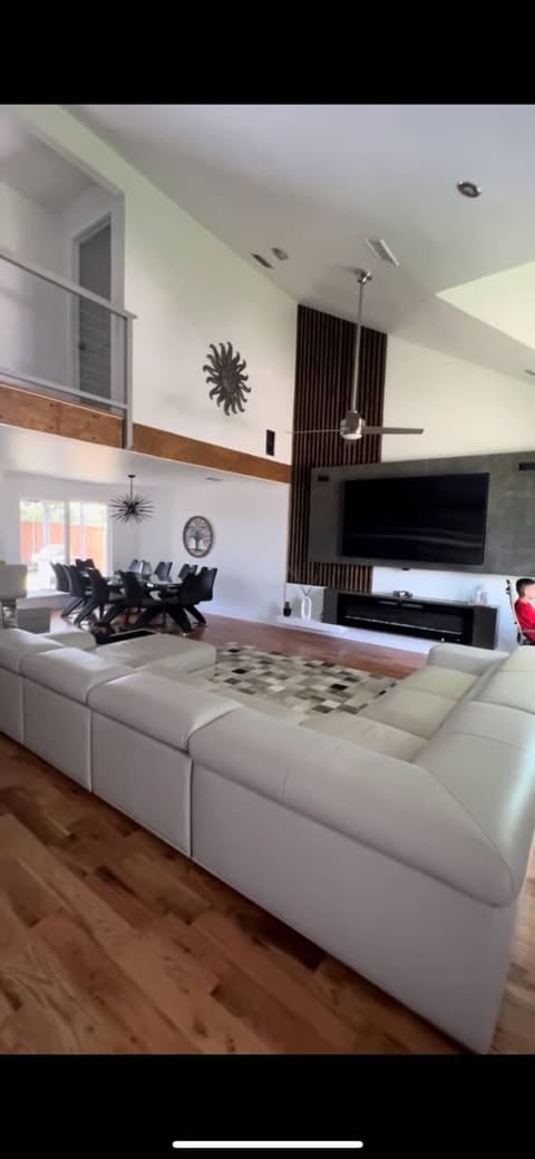 Luxury Living Room Renovation