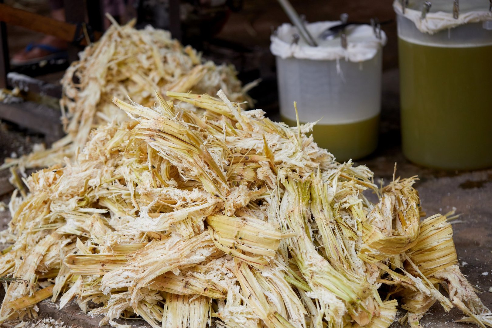 Heap of sugarcane bagasse and sugarcane juice