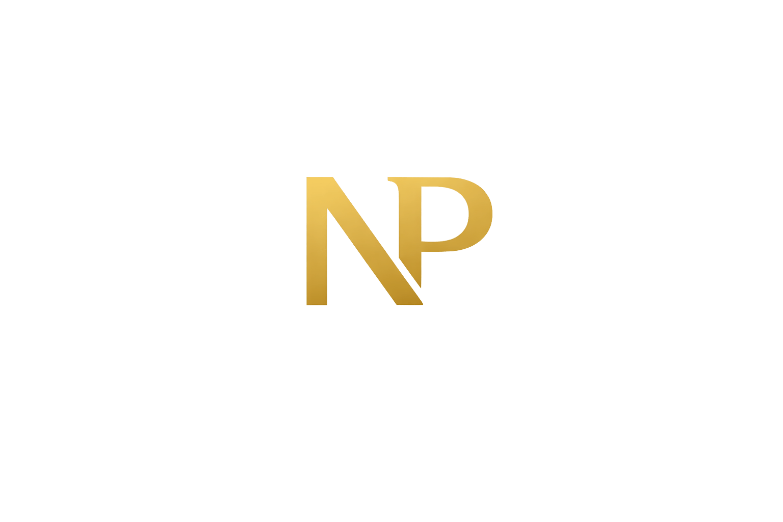 N&P CAPITAL