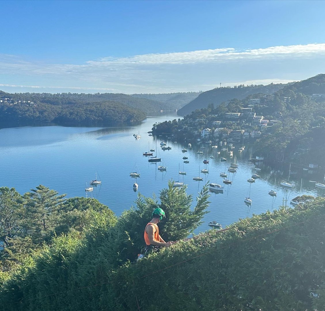 Hayes Home Maintenance garden work