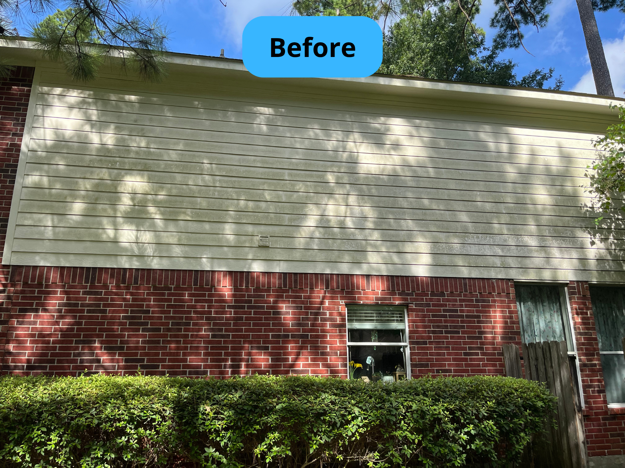 Before organic stain removal