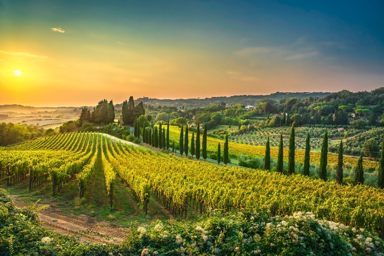 Casale Marittimo village, vineyards and countryside landscape in Maremma. Pisa Tuscany, Italy Europe.