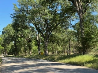 A quiet rural road lined with tall, leafy trees under a clear blue sky.