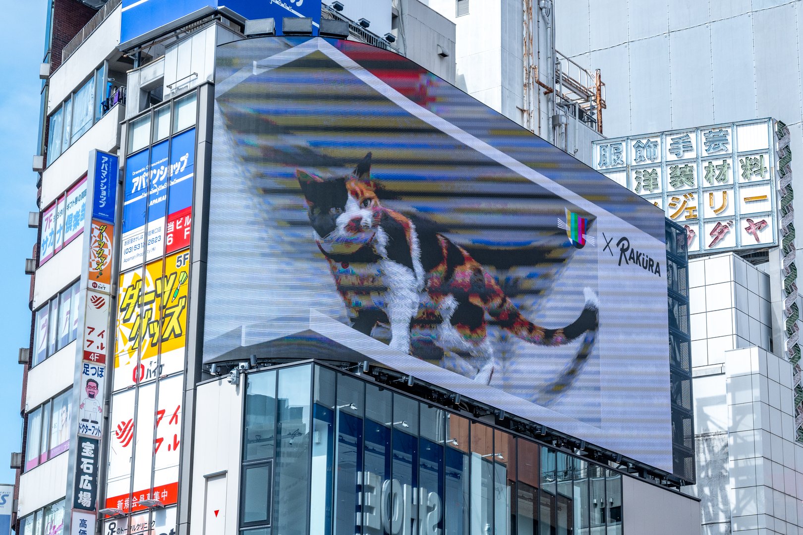 Tokyo, japan, 09 27 2024: calico cat featured on a large digital billboard in shinjuku, tokyo, japan