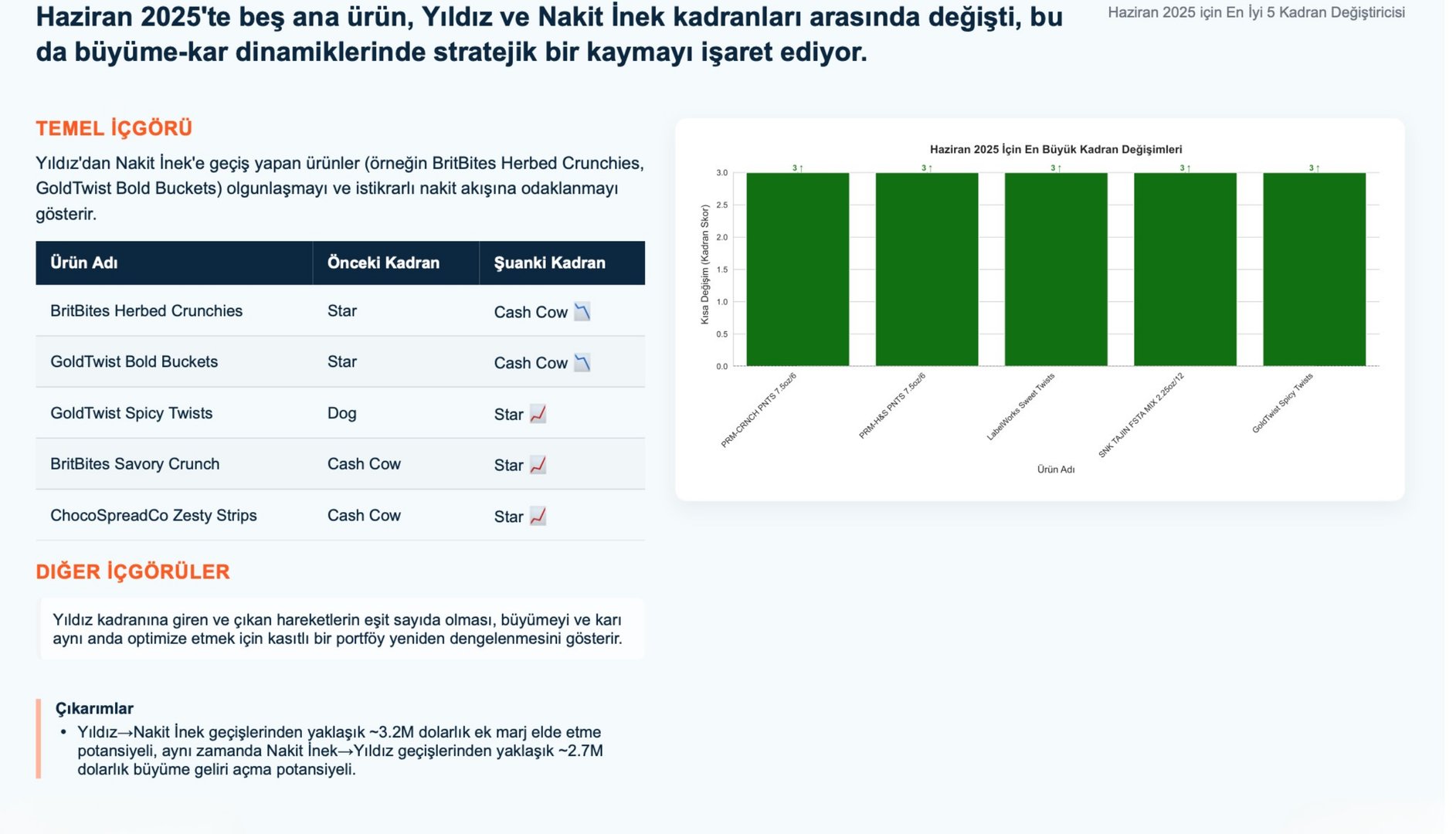 NovatekCloud AI Rapor Örneği 8