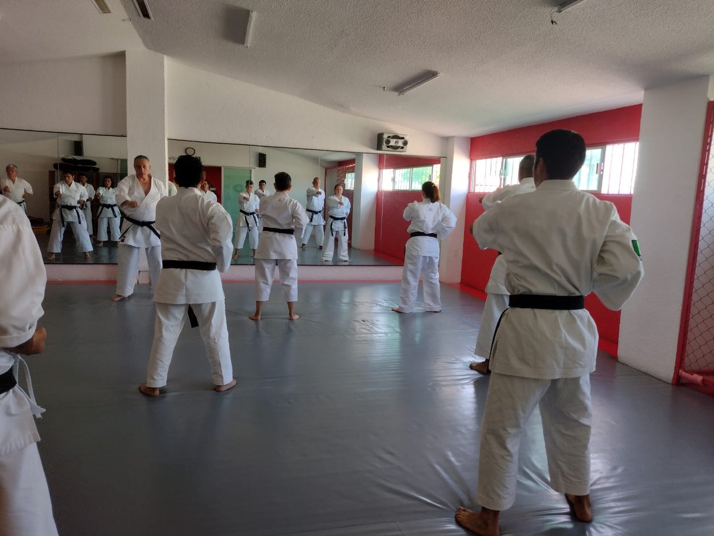 Dojo Image Placeholder 6