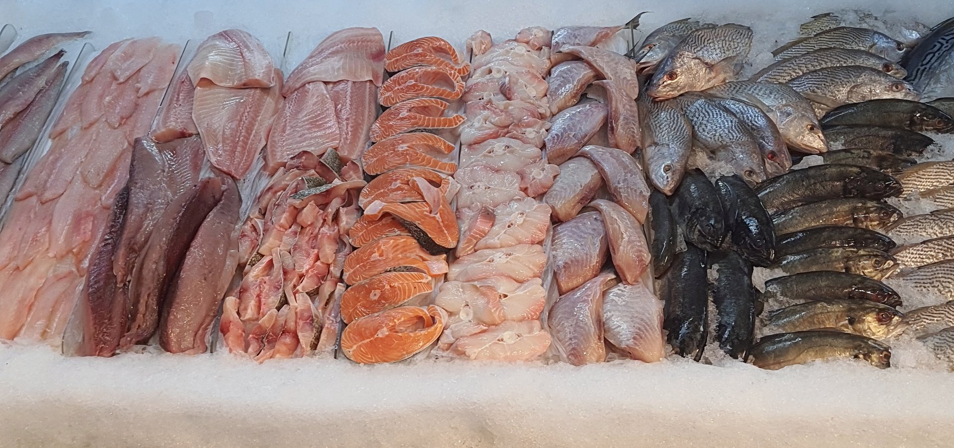 Fresh fish on ice