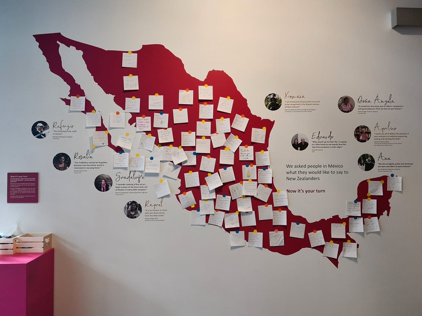 Chef Guadalupe Bautista - Nuestra Chef con Experiencia Internacional