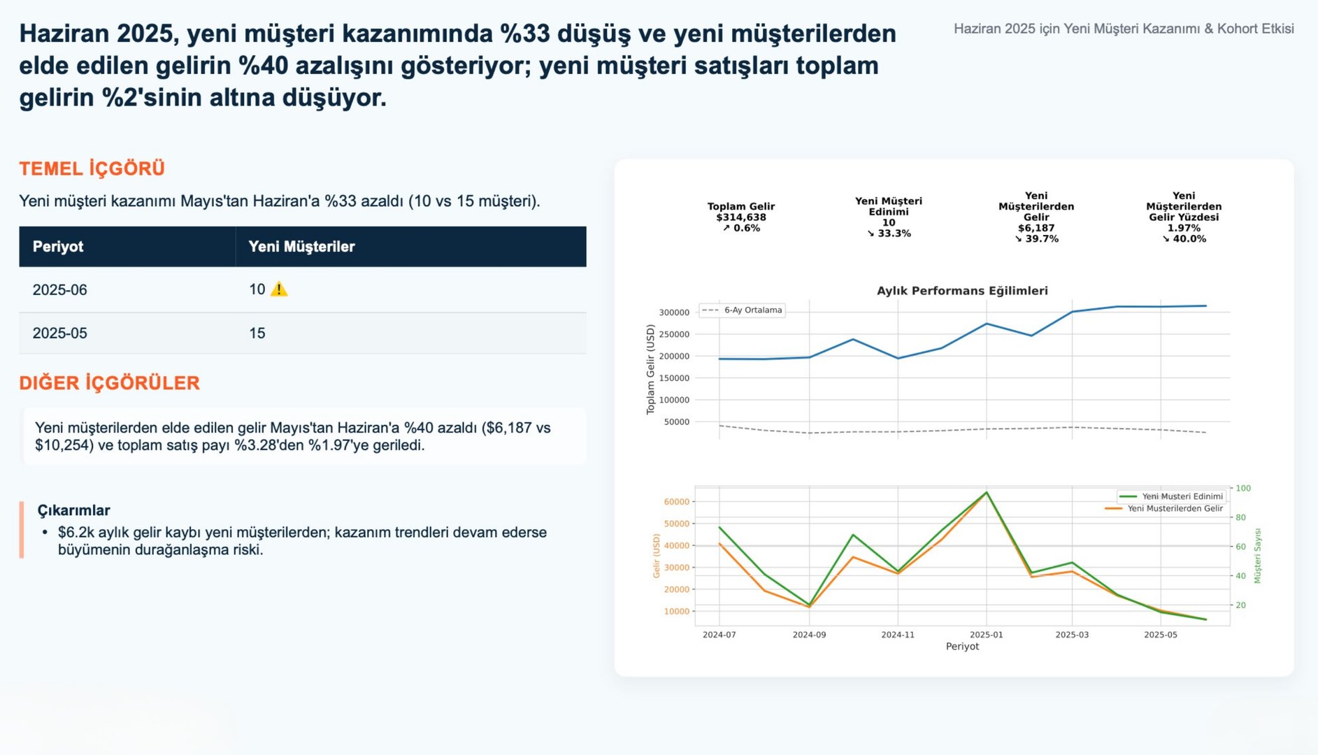 NovatekCloud AI Rapor Örneği 3