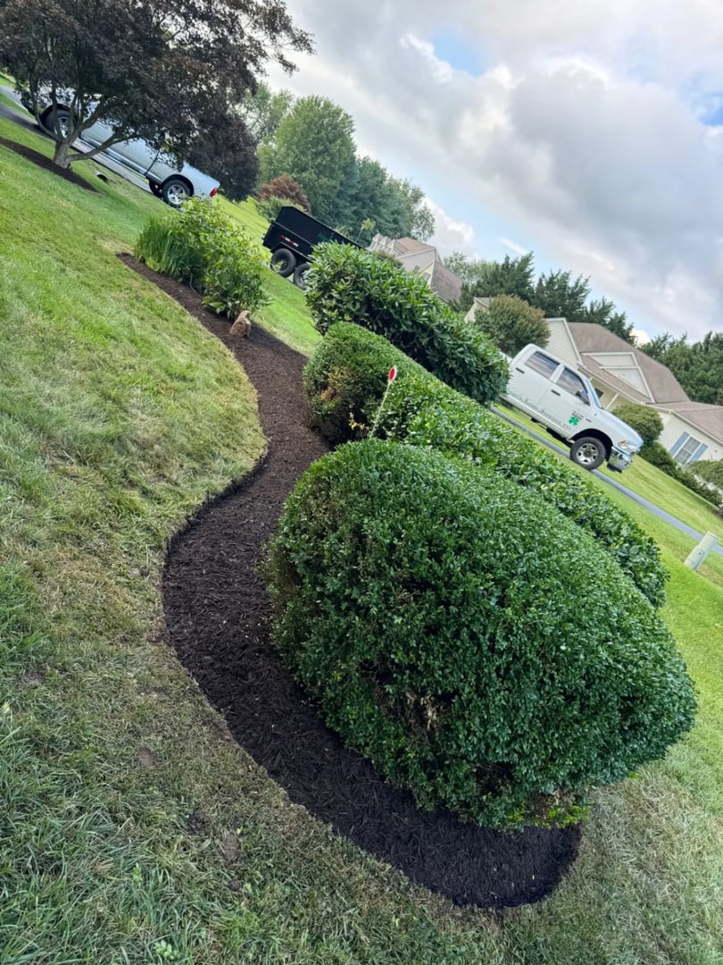 Angels Lawn Service mulching project