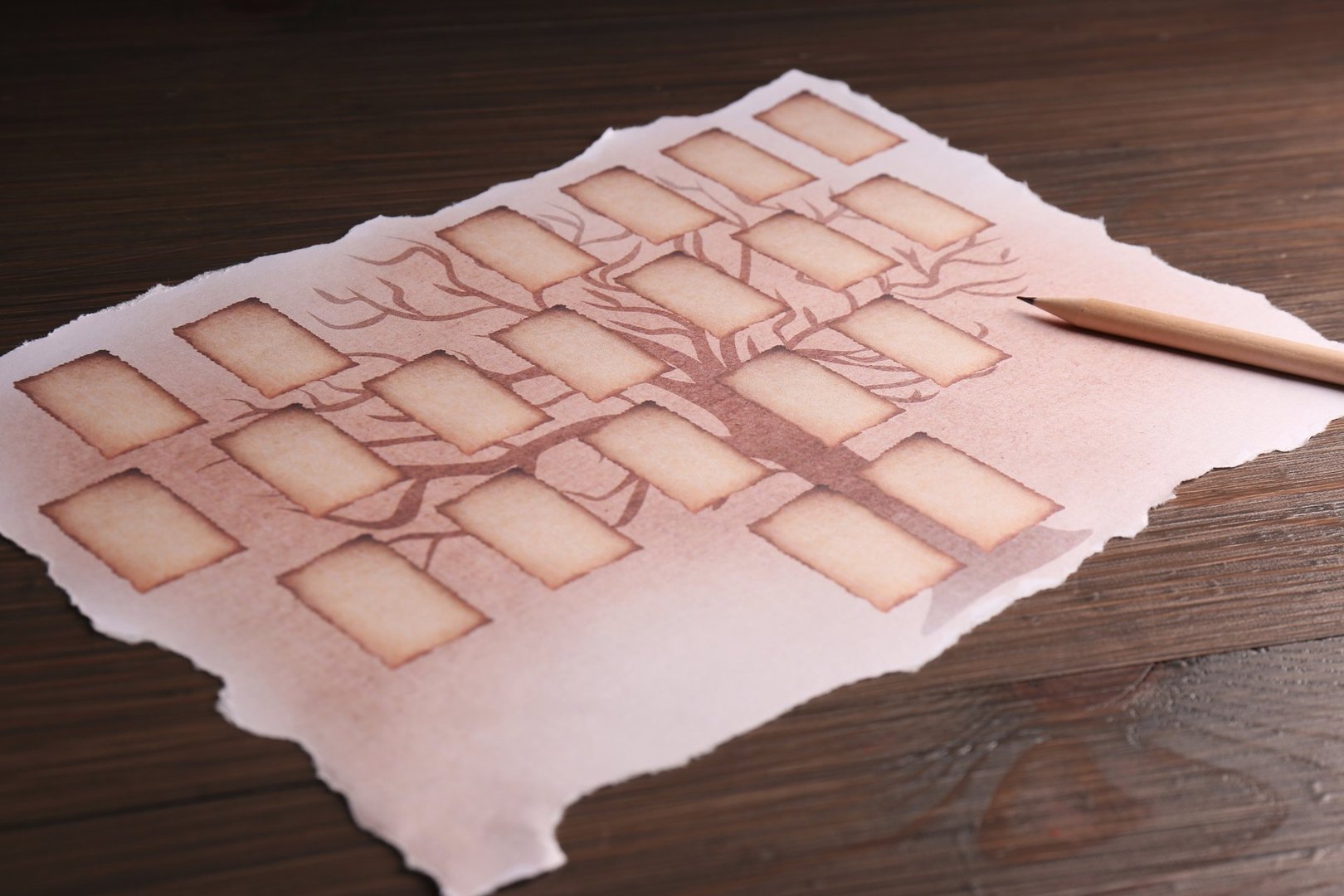 Family Tree Genealogy Icon