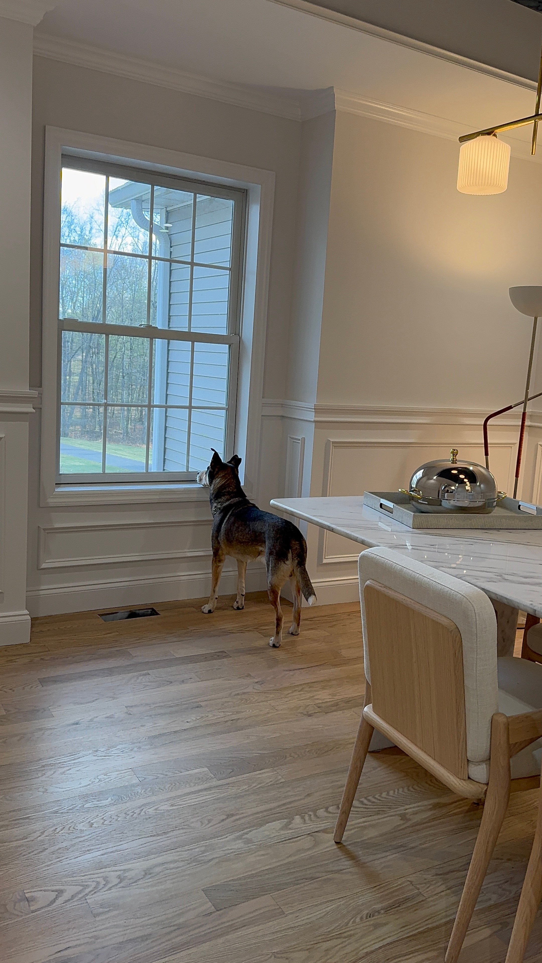 Scenic View of Property