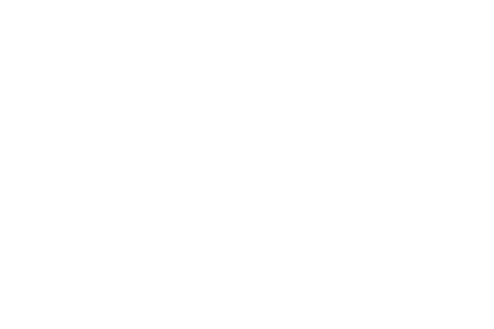 CT Finesse Logo