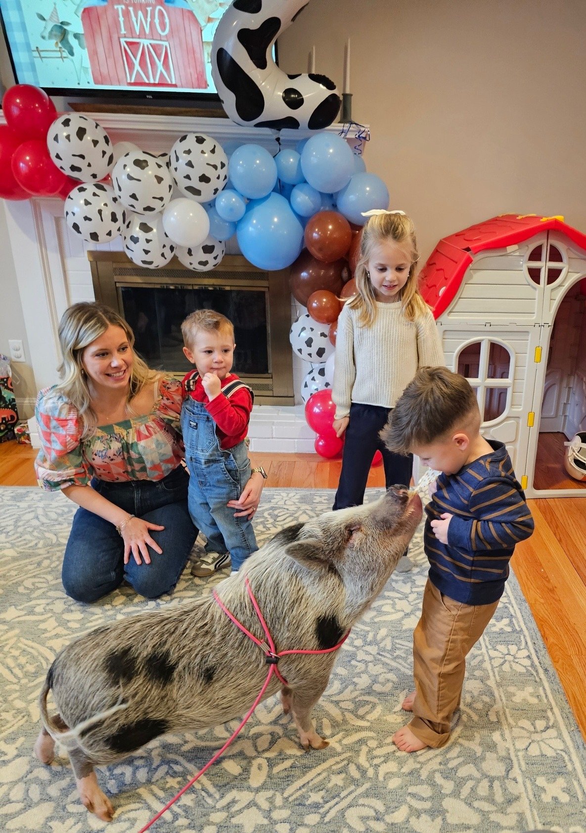 Friendly pig interaction at event