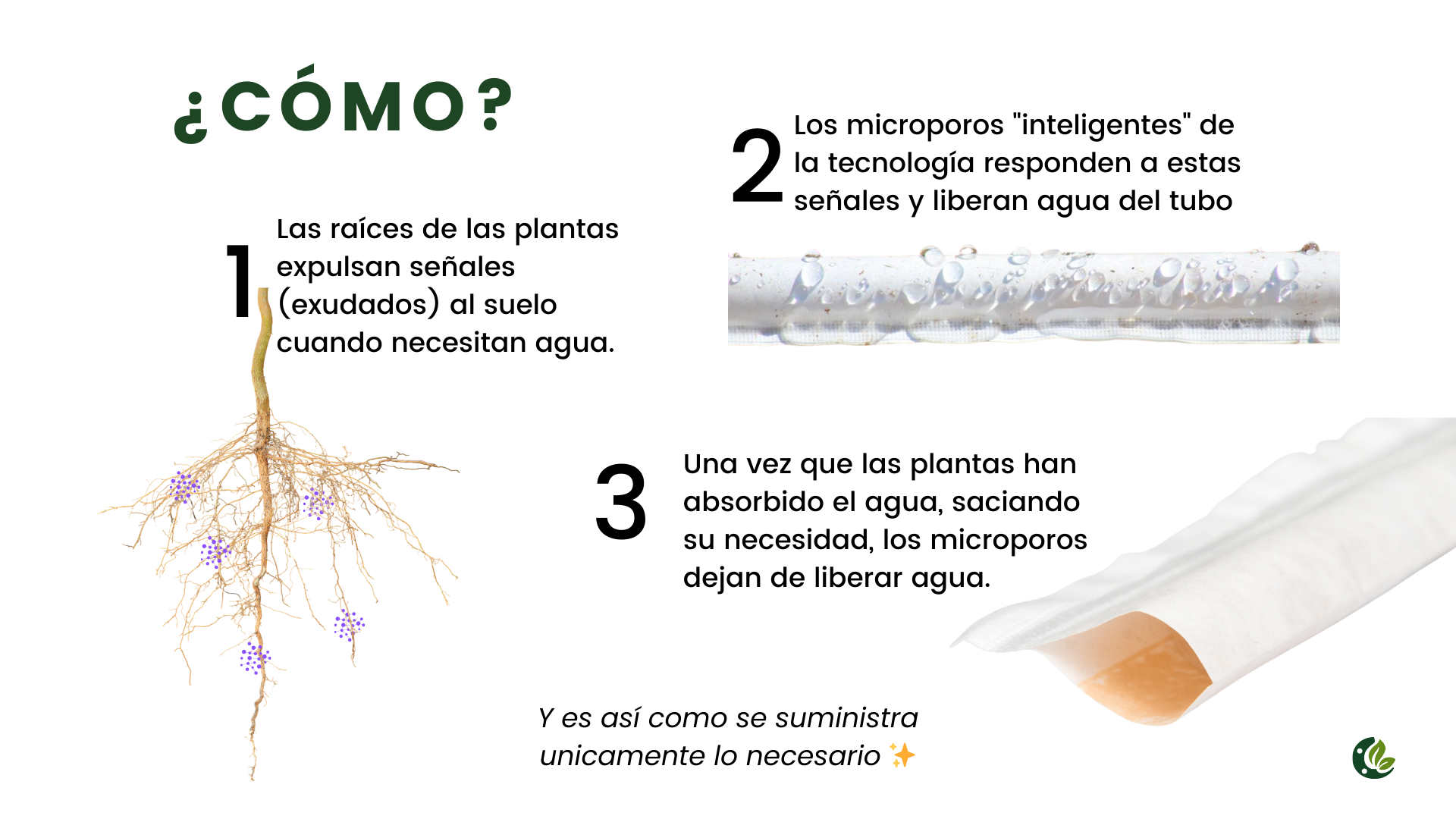 Como funciona el sistema RDI
