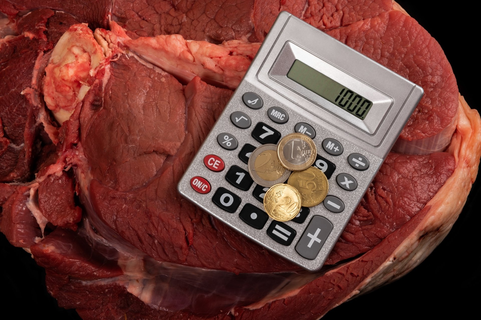 Conceptual plot about the price of beef meat and euro coins