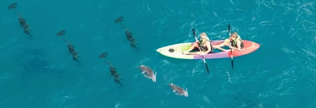 Clear bottom kayak rental showing underwater views