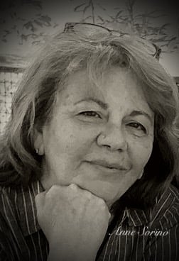 Anne Sorino - Artist