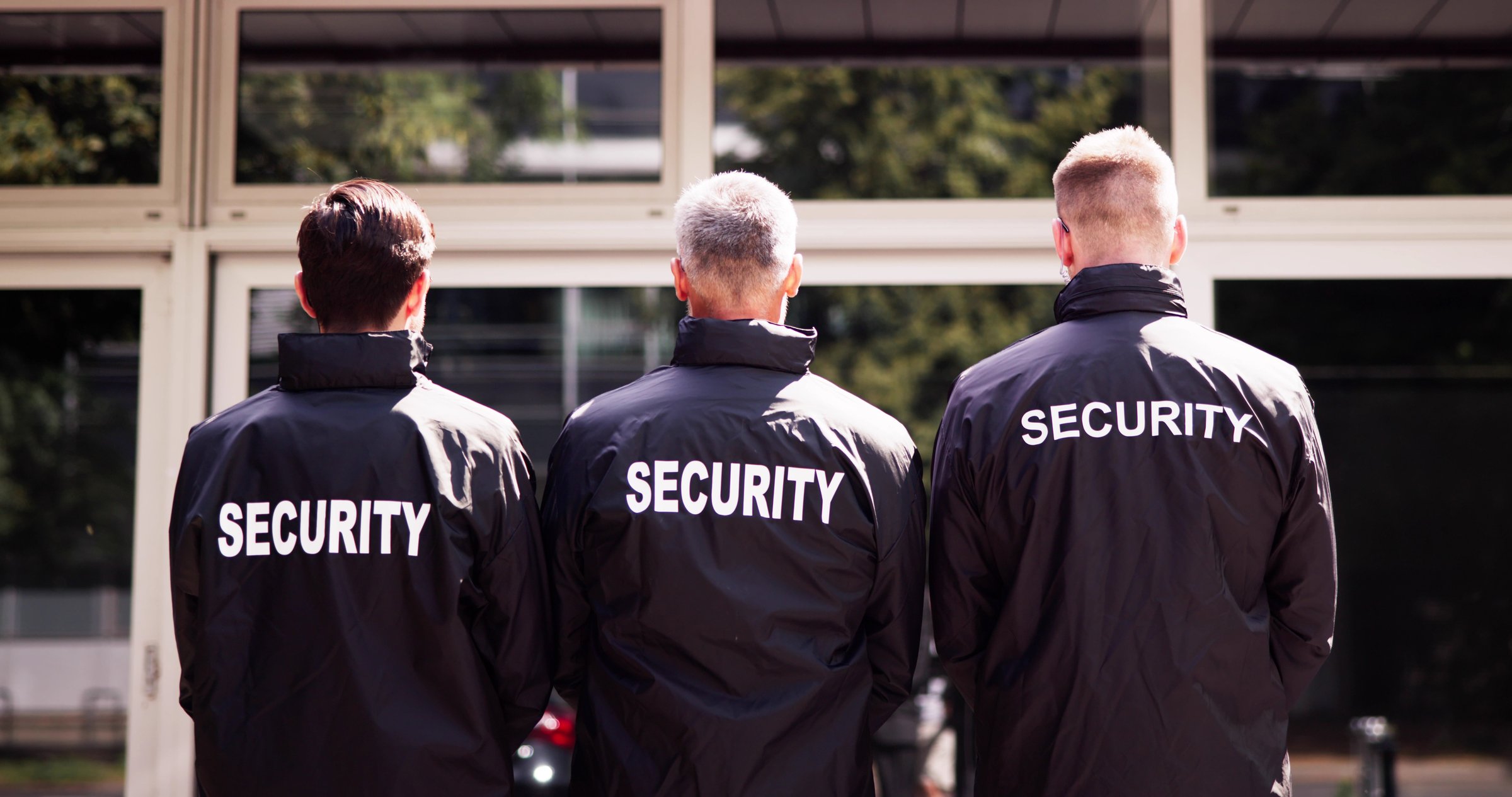 Professional security team