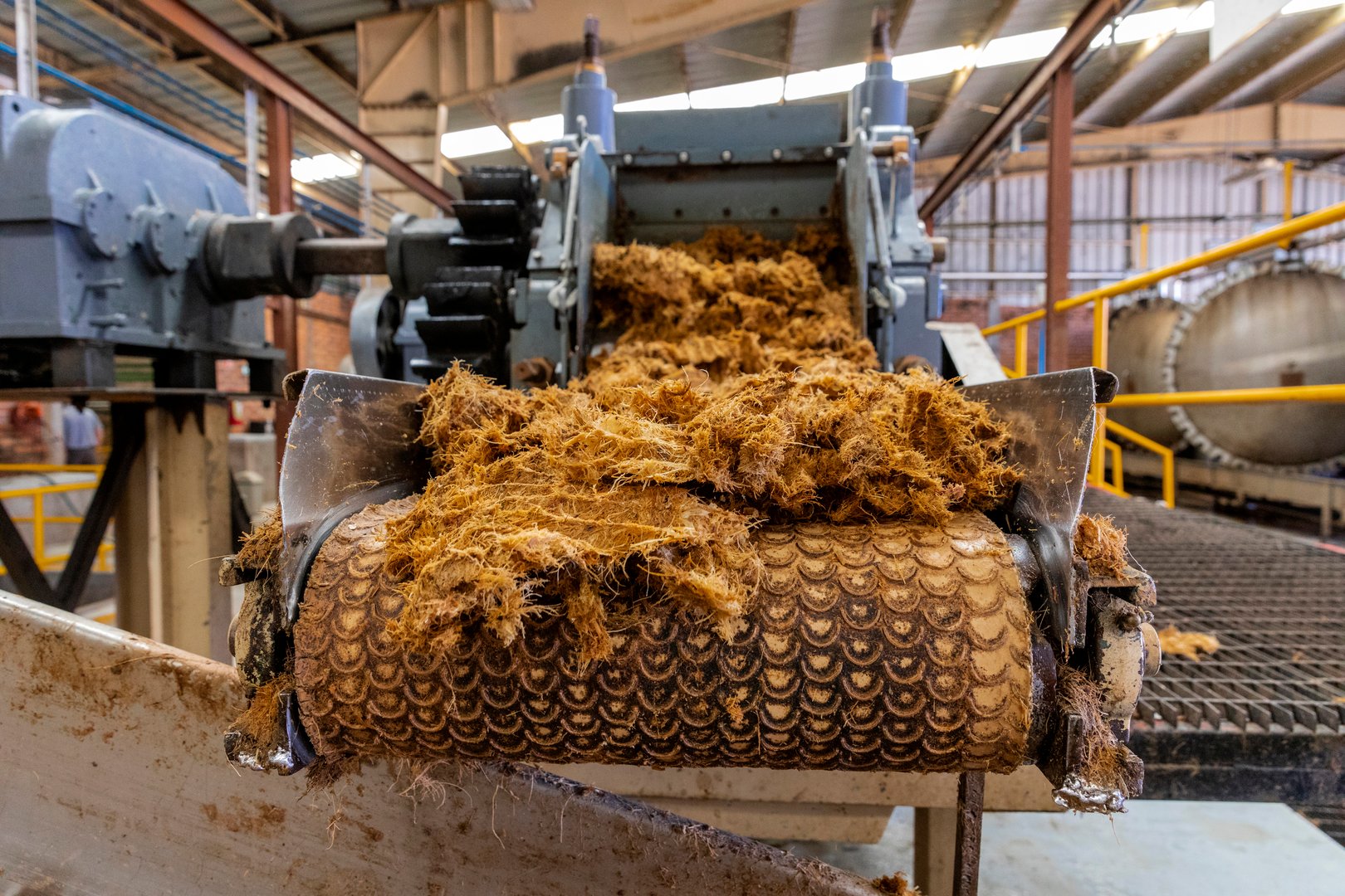 Mill for crushing agave to make tequila. Mexican drink.