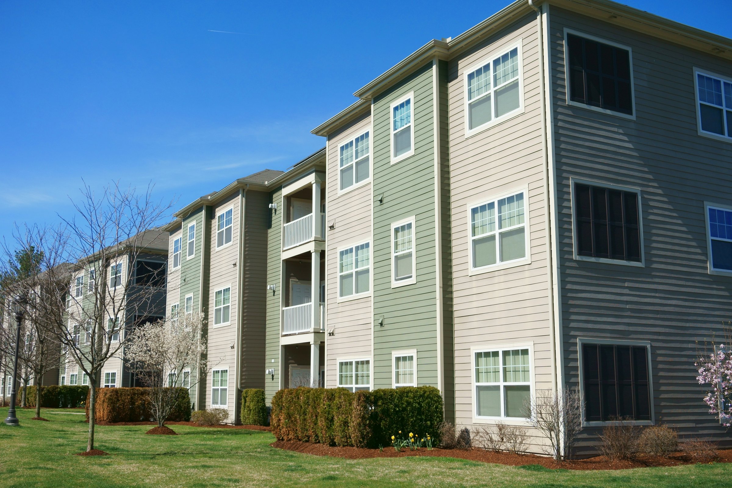 Vibrant Communities
