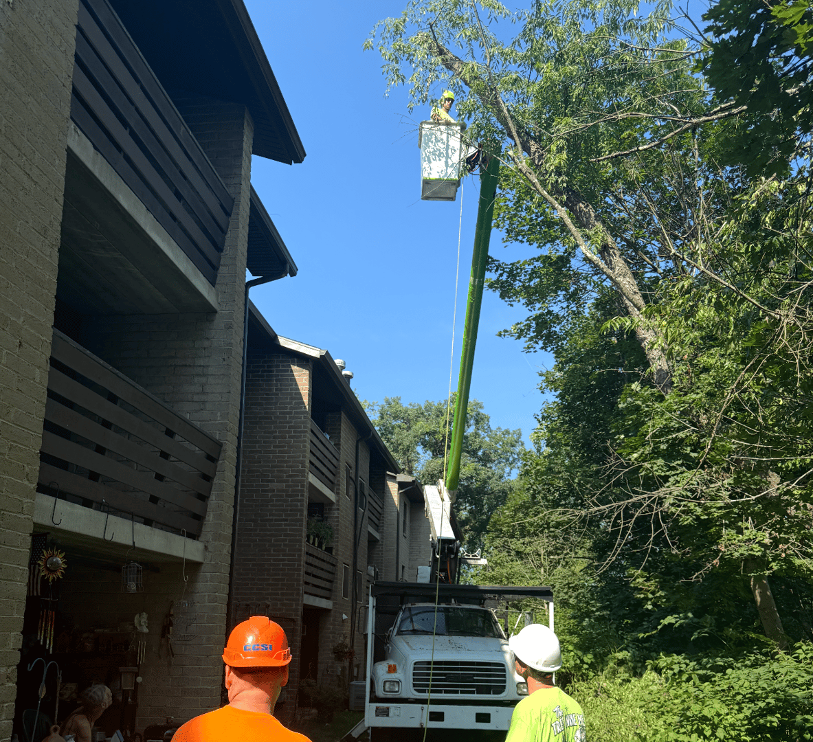 Tree trimming service