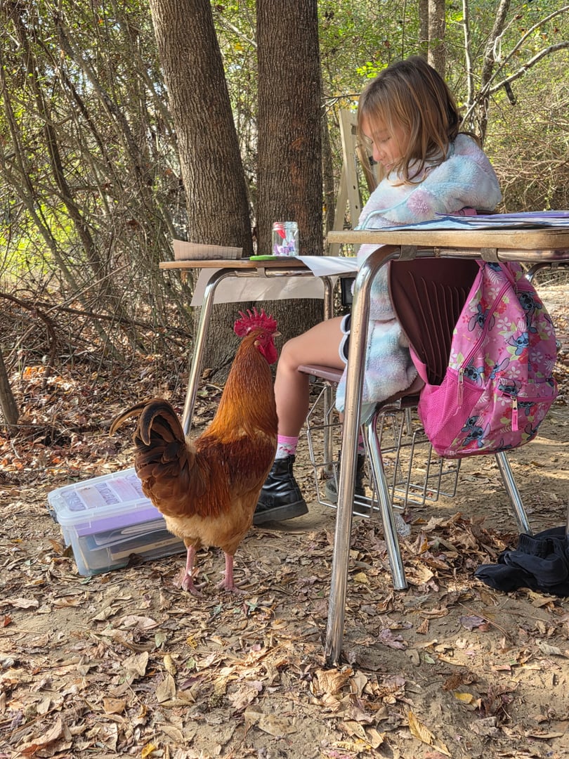 Mindful Journey Academy campus view